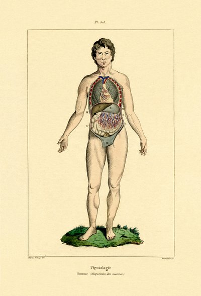 Intestini da French School